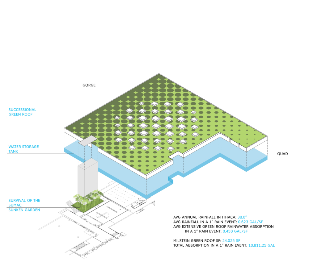 
          Cornell University Milstein Hall - SCAPE      -4