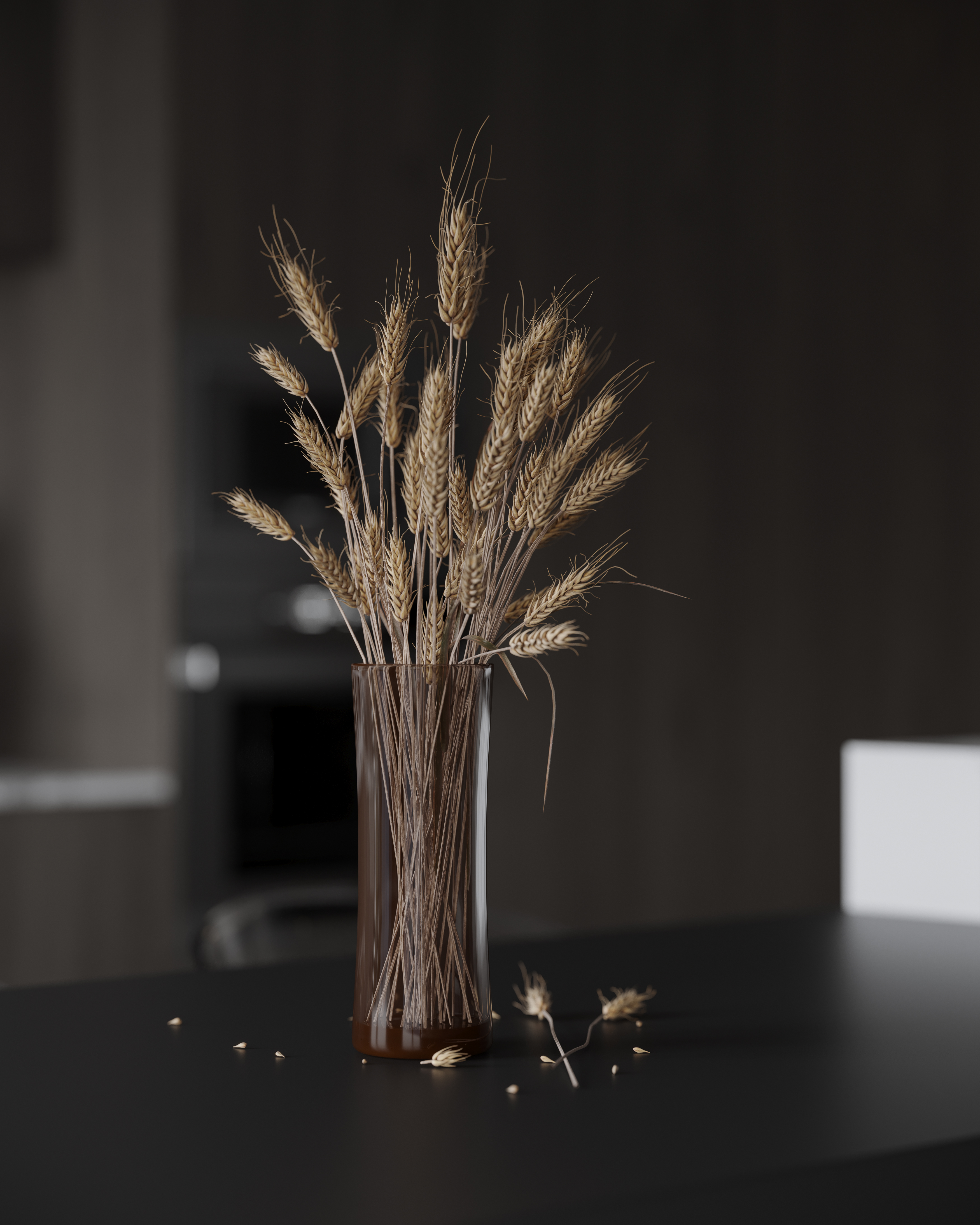 Corona-现代别墅-0