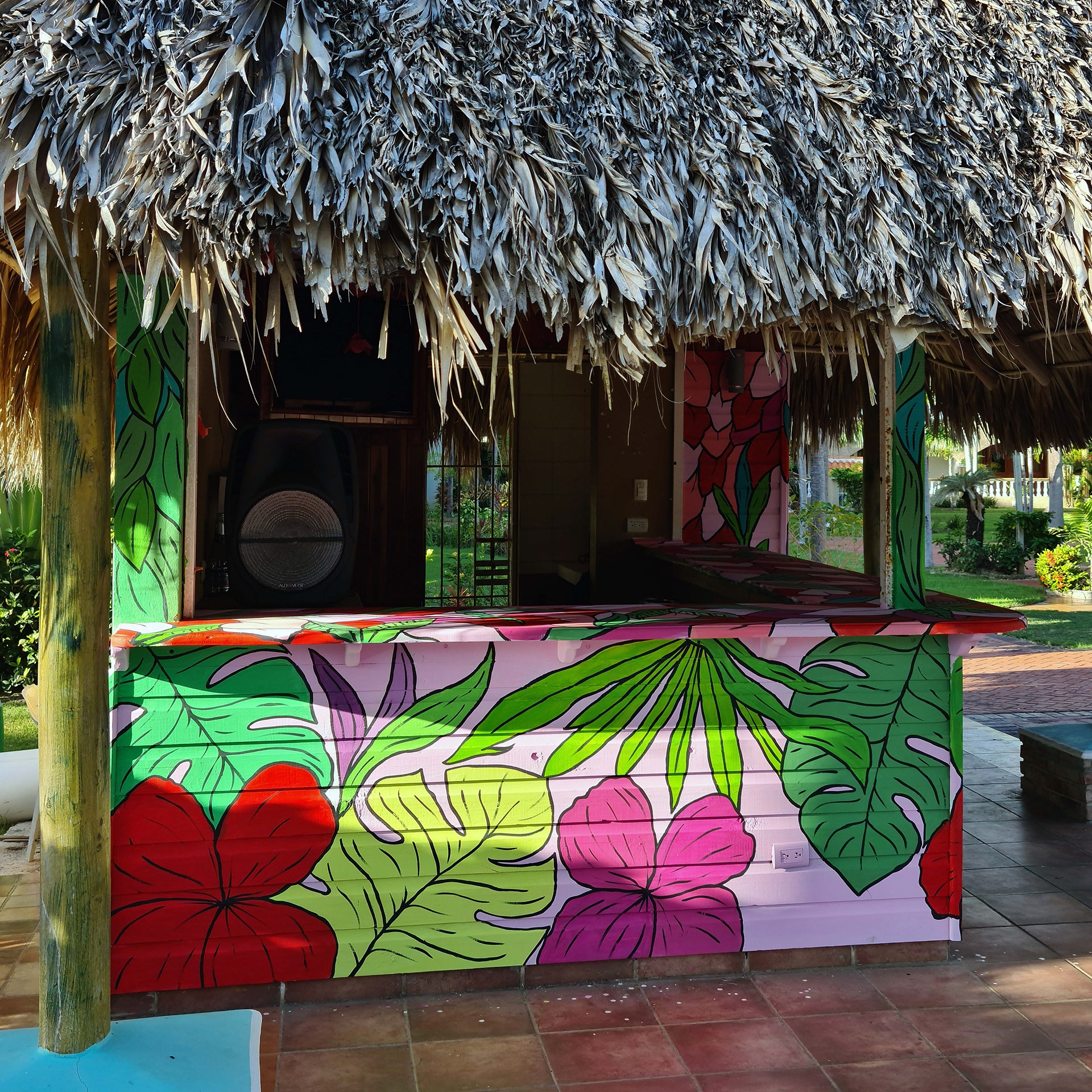 MURAL - Hotel Cortecito INN - PUNTA CANA-3