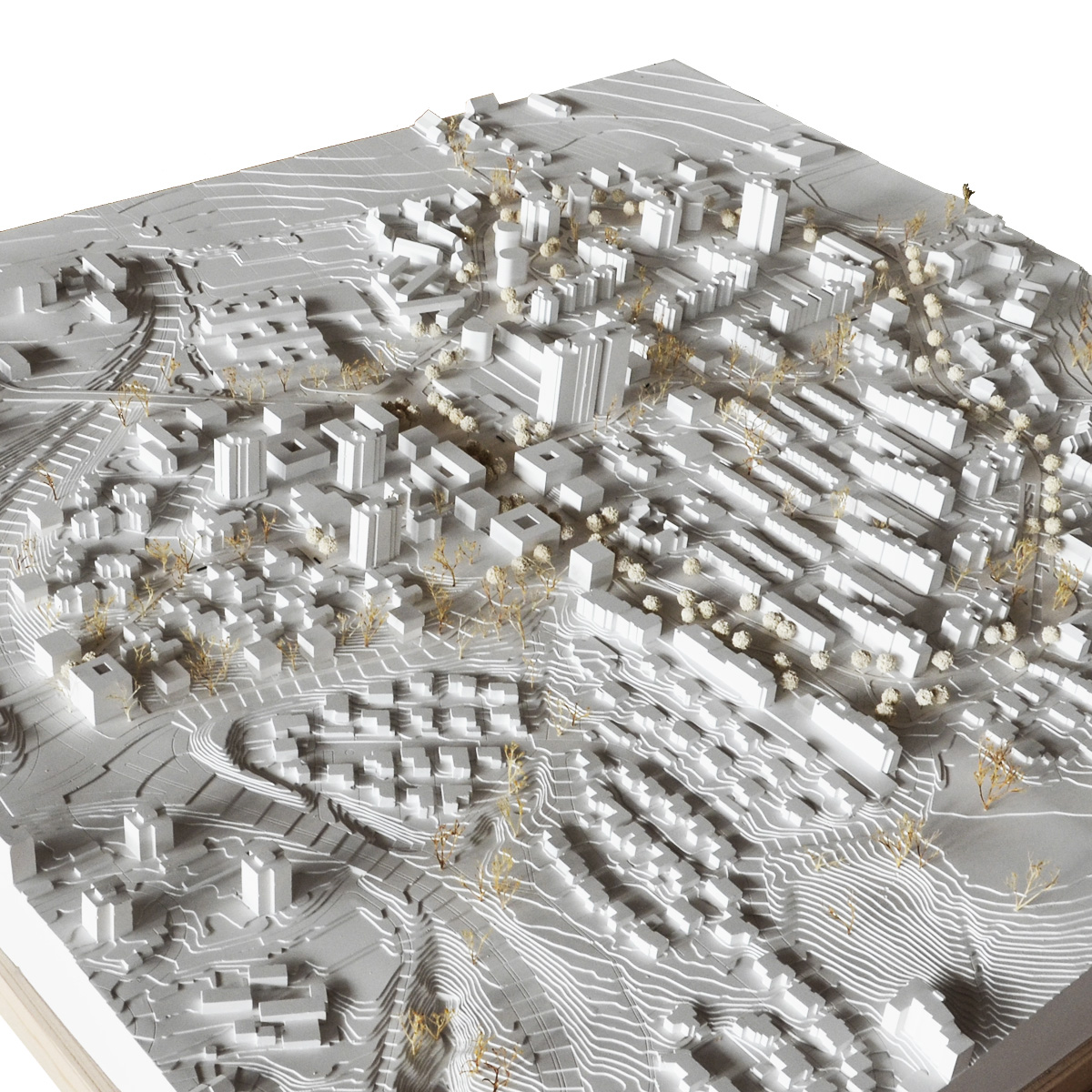 世界卫生组织社会城市项目——蒂宾根丨德国丨H|G Architekten und Stadtplaner-12