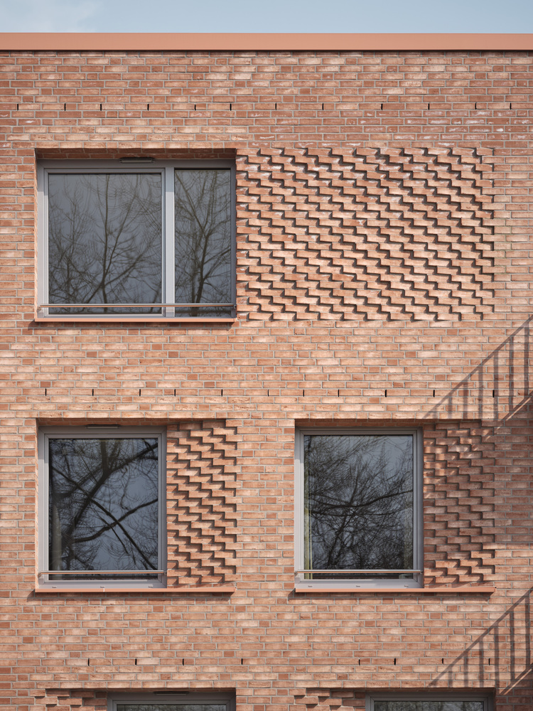 德国 BuchholzerGrün 房屋丨Busch,Takasaki Architekten-11