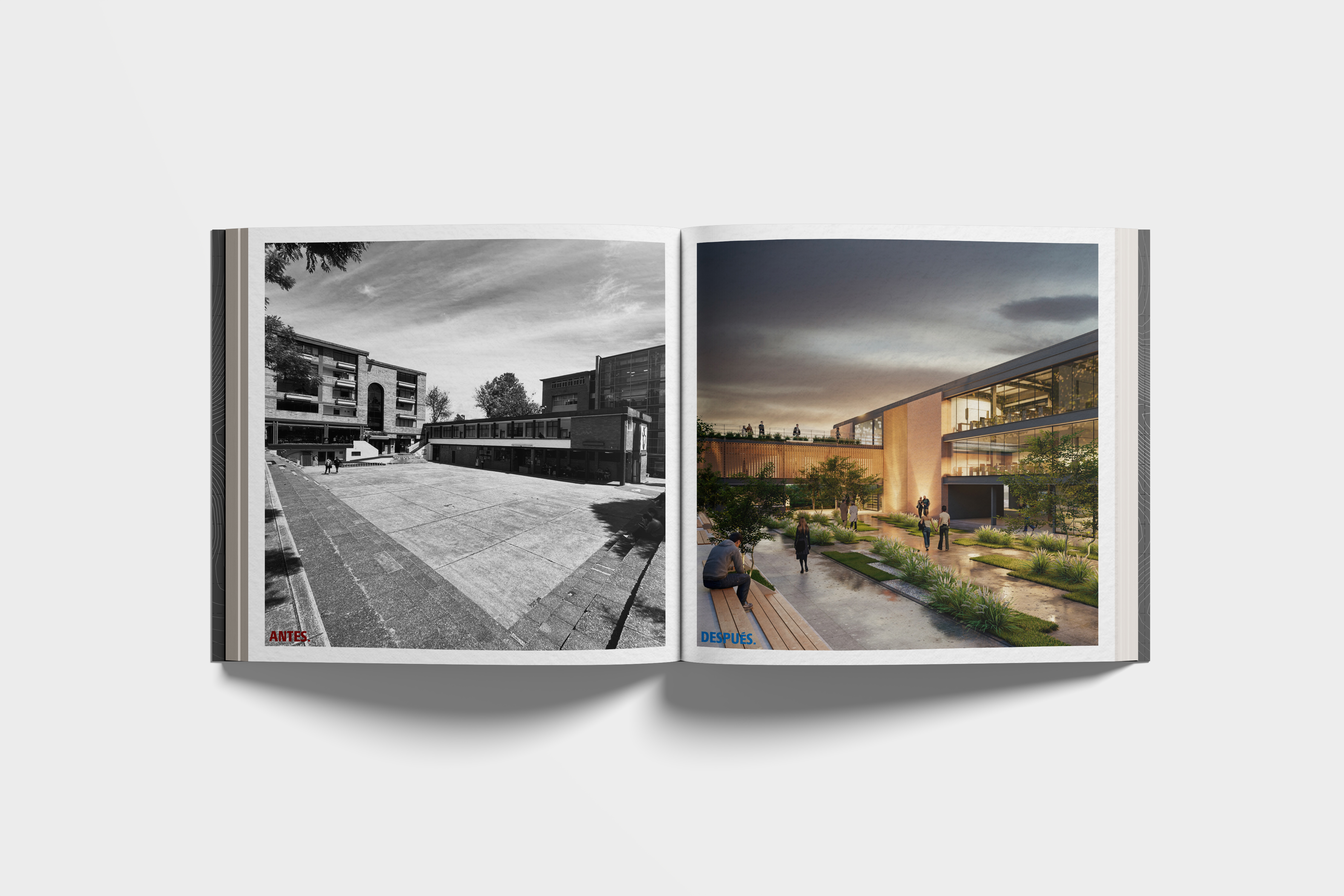 PORTFOLIO - PG-13