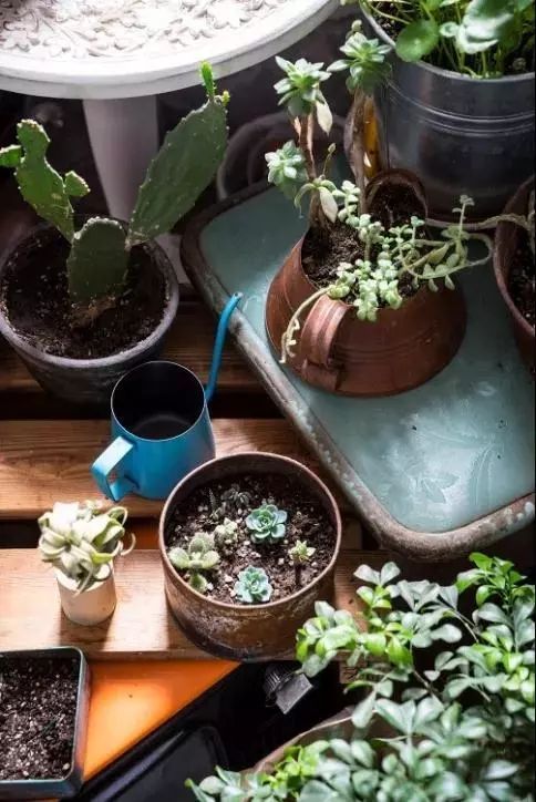 北漂大叔农村小院打造记,美食家赵歆宇的生活美学-21