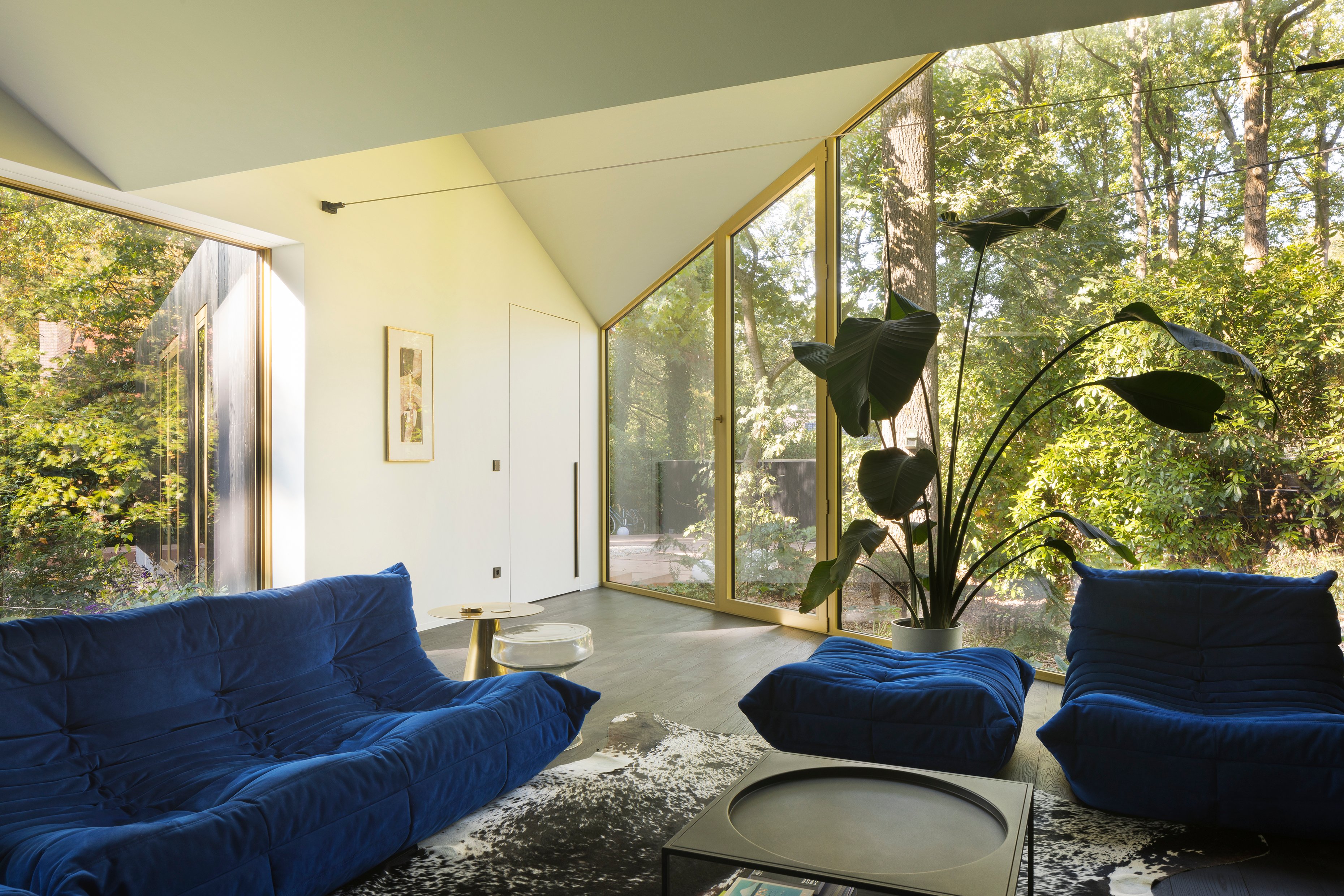 住在树林里丨比利时丨BASIL architecture-4