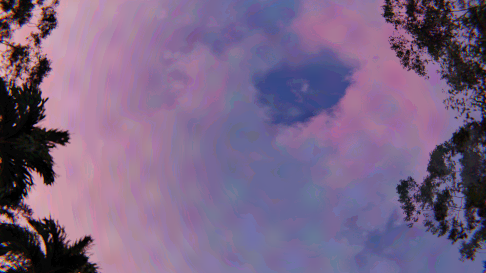 多山的巴格尔别墅动画丨Yuri Ismailova 等-8