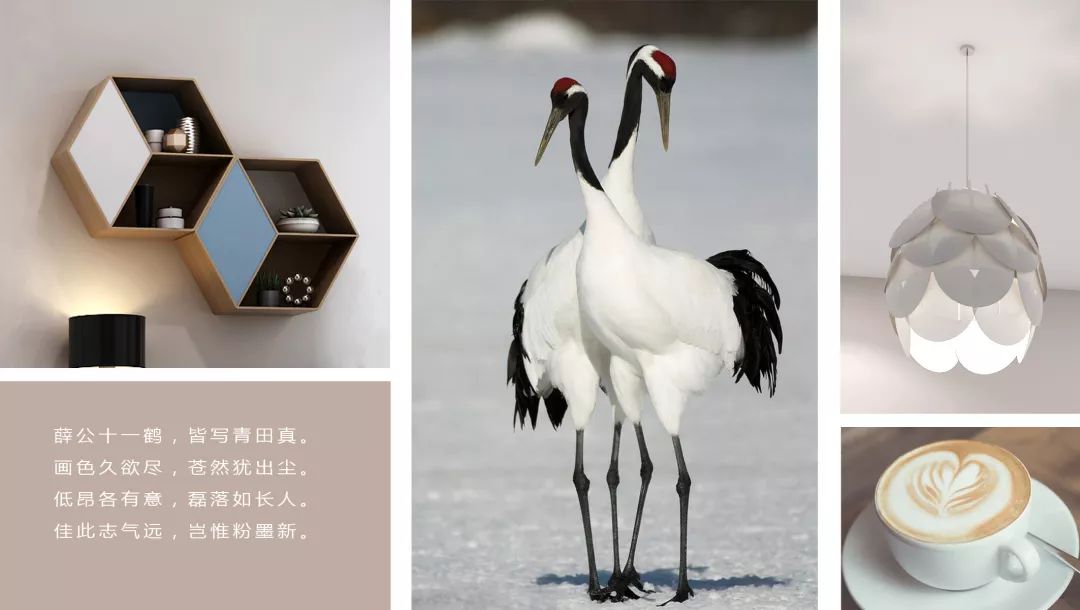 真·雅▏和样式化设计说no,更真实更优雅！-2