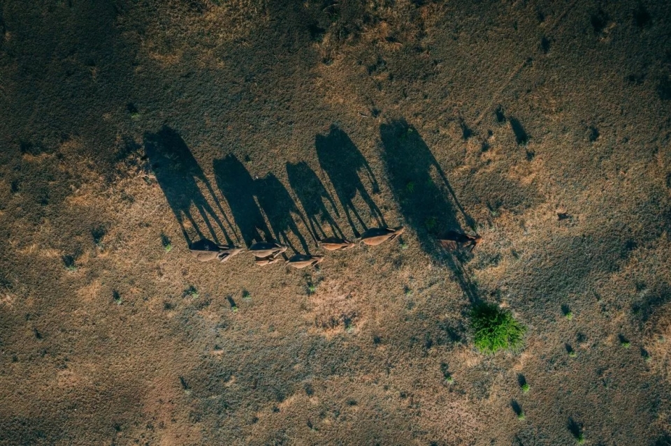 航拍系列,Martin Sanchez-27