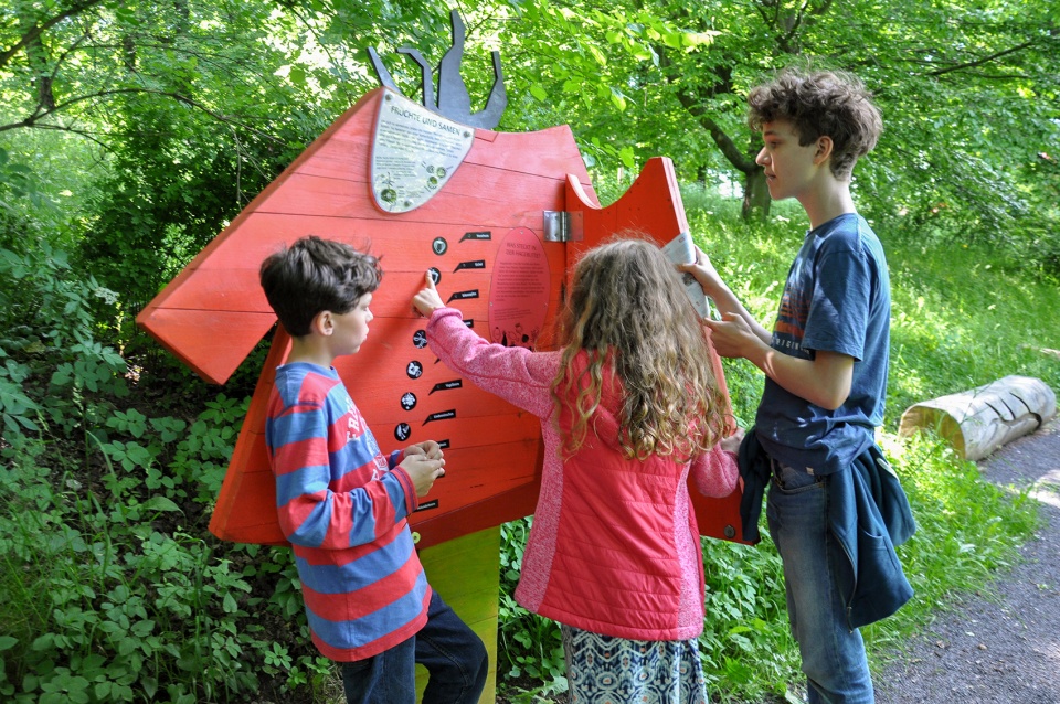 埃尔福特艾格公园知识森林丨德国丨德国雷瓦德景观建筑事务所-56