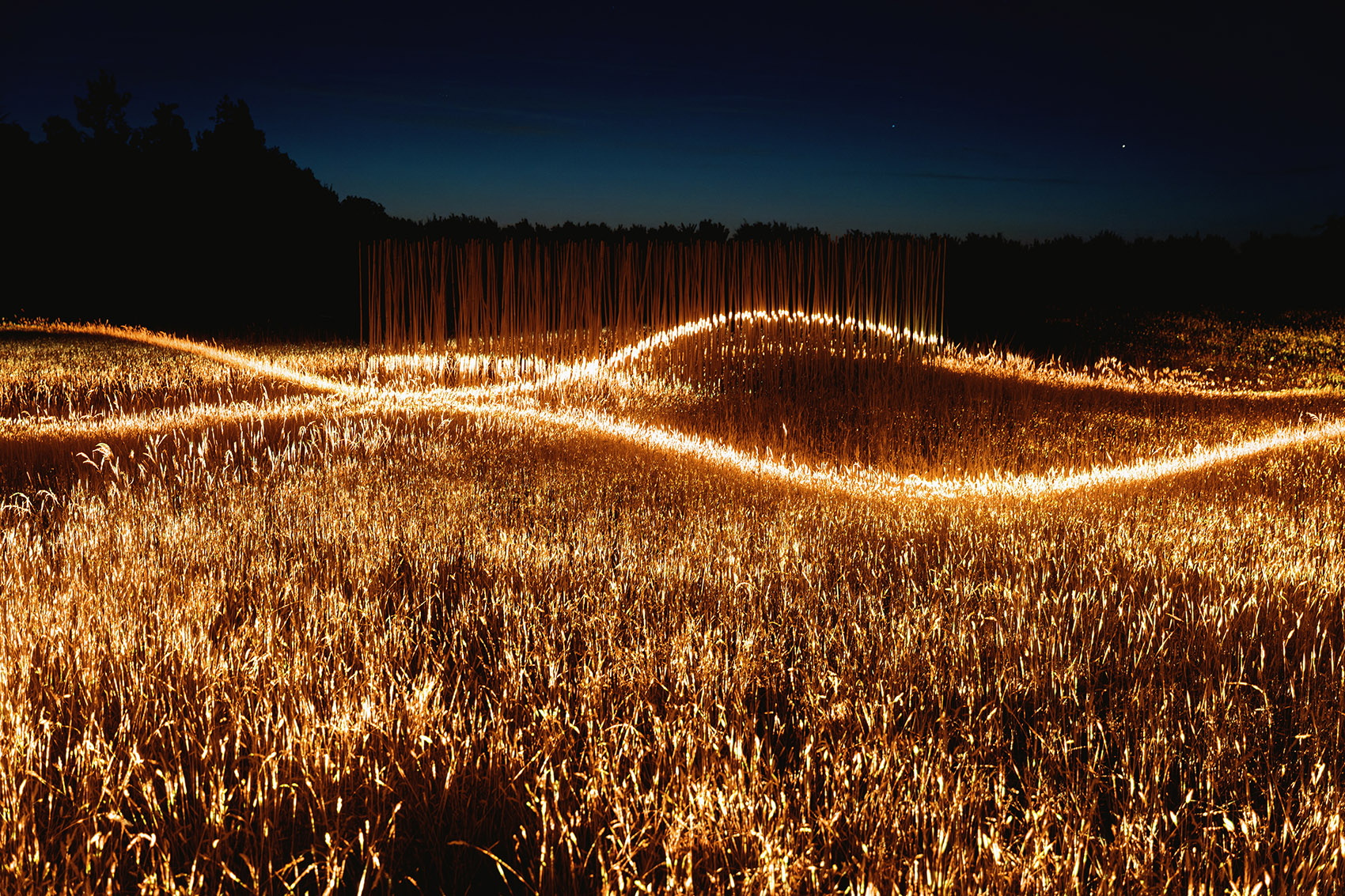 Phorest灯光装置丨1024 architecture-11