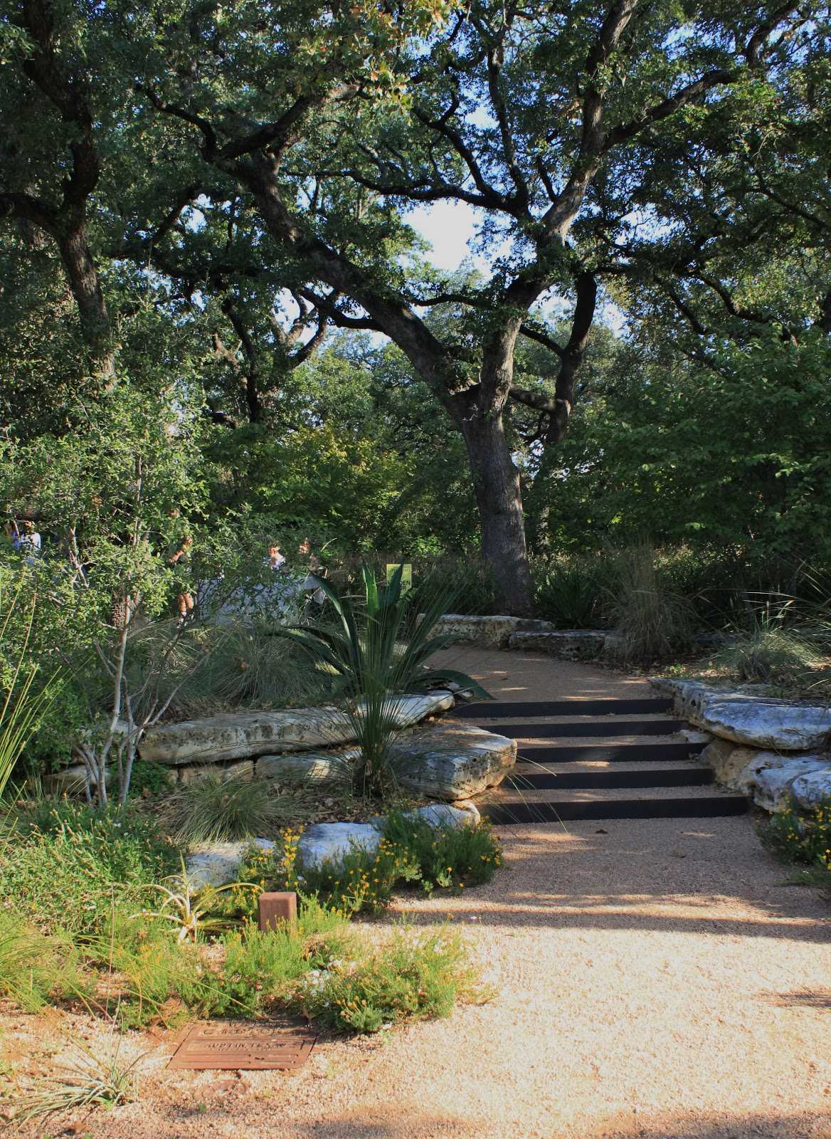 德克萨斯奥斯汀半英亩住宅景观丨美国奥斯汀丨Ten Eyck Landscape Architects-9