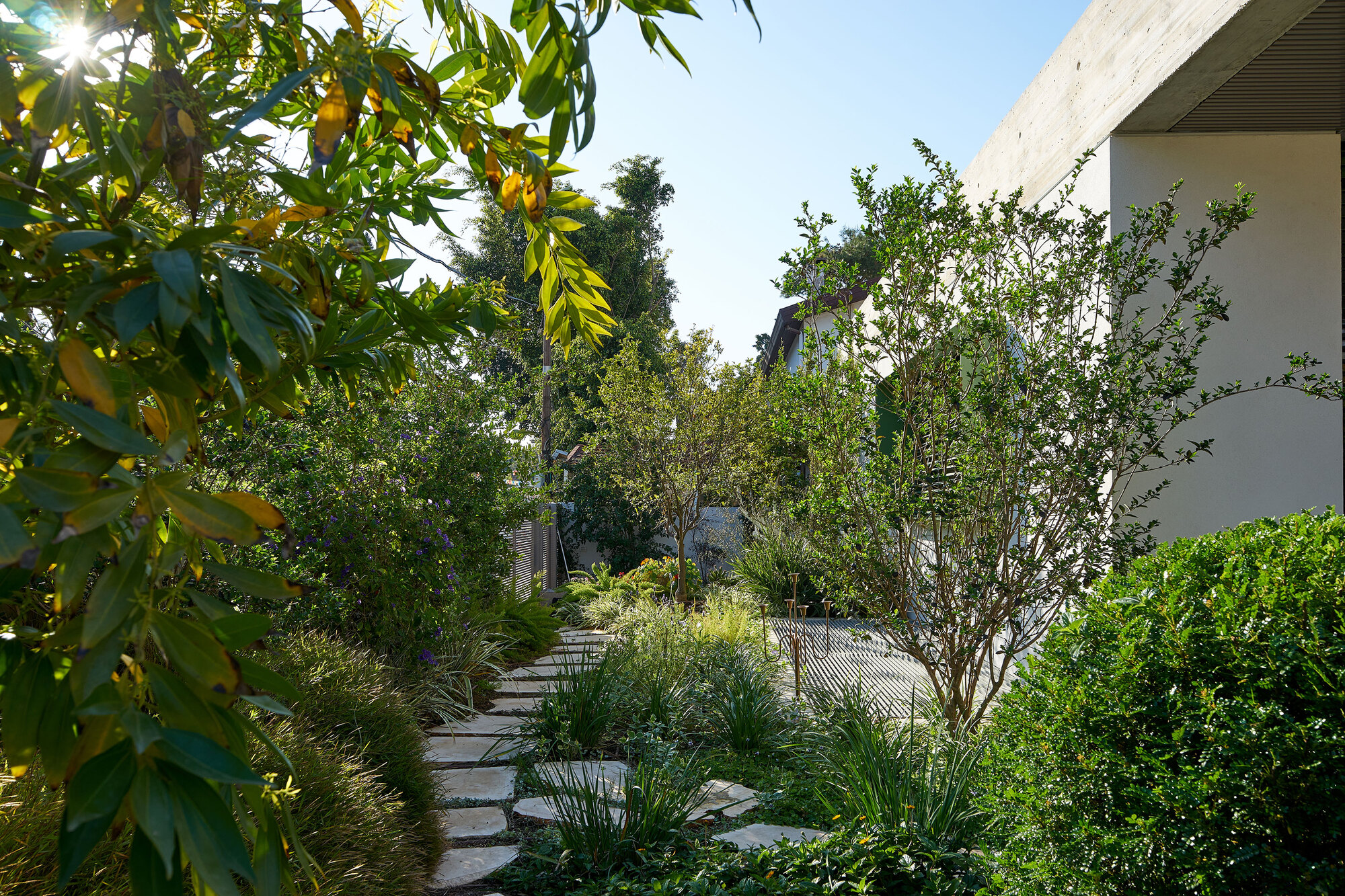 N·M 4 号住宅丨以色列丨Daniel Arev Architecture-35