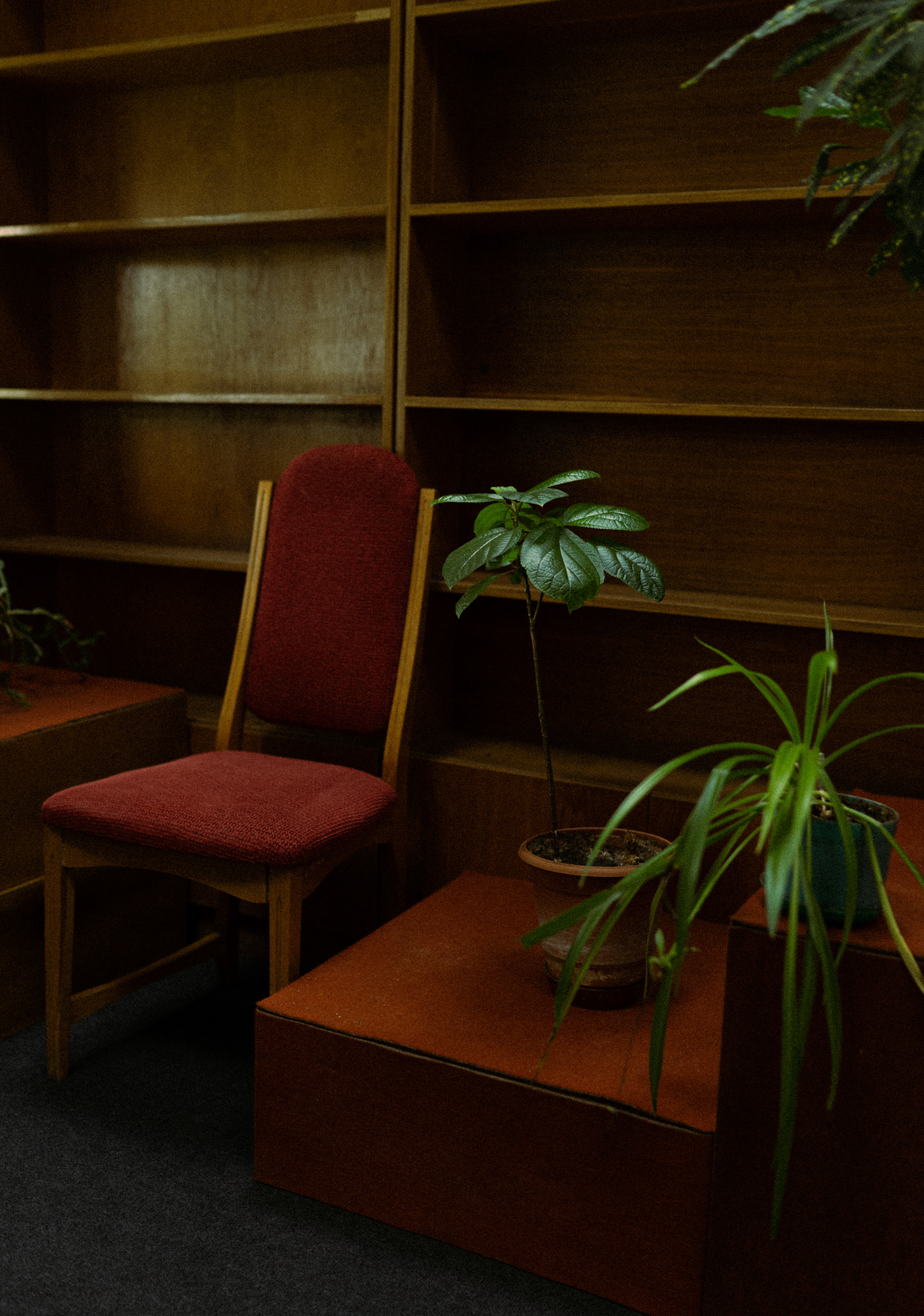 Vernadsky National Library of Ukraine-5