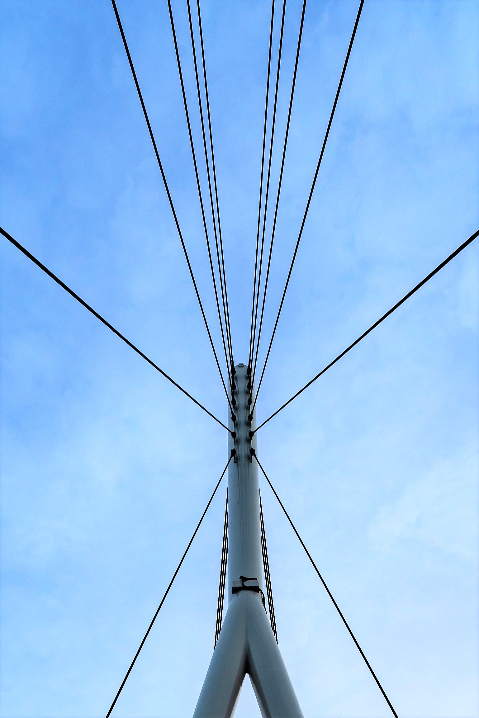 Water of Leith Cable Stayed Footbridge | DC Structures Studio-20