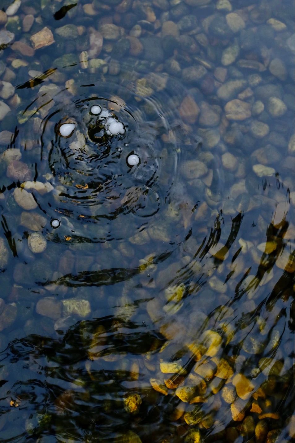 萧氏设计办公楼丨中国上海丨萧爱彬设计-36