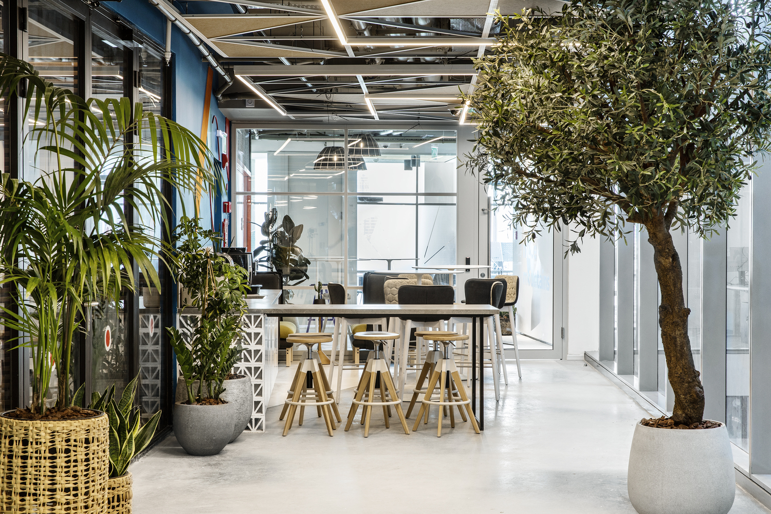 Akamai Tel Aviv 办公室设计-22