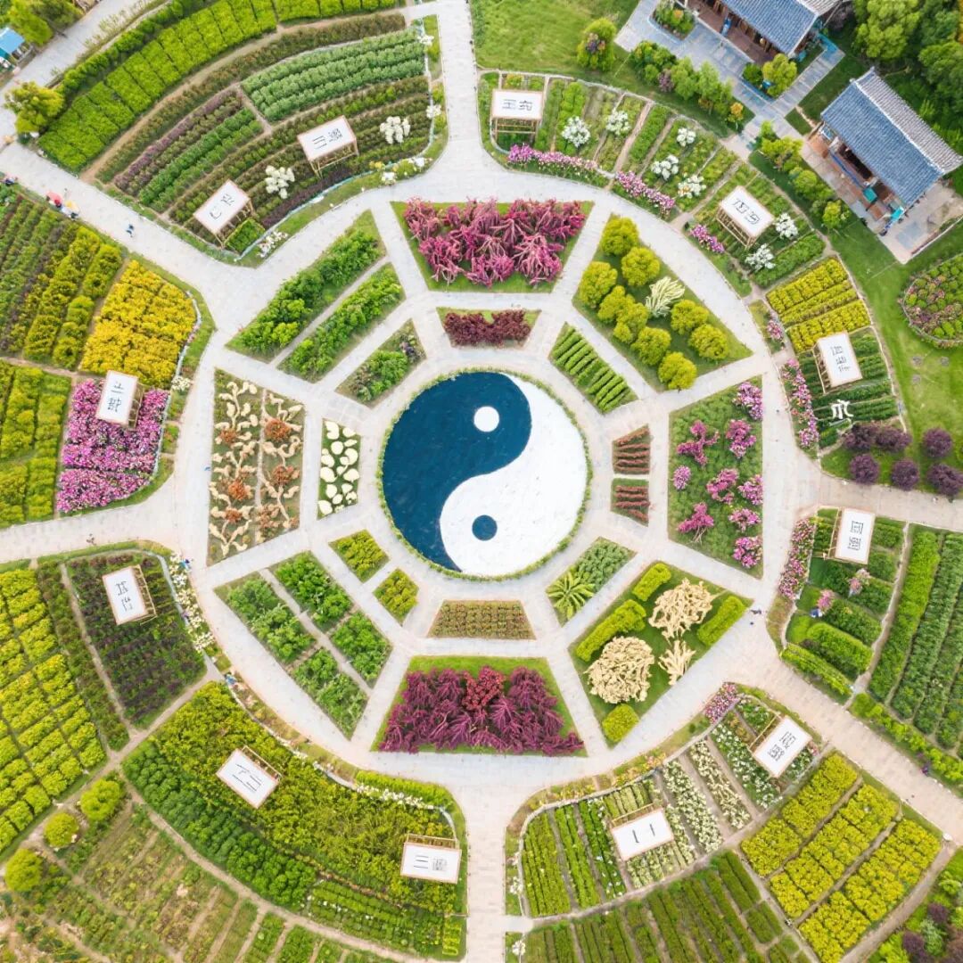 南方城市近郊100亩中草药农文旅规划设计建造与运营-49