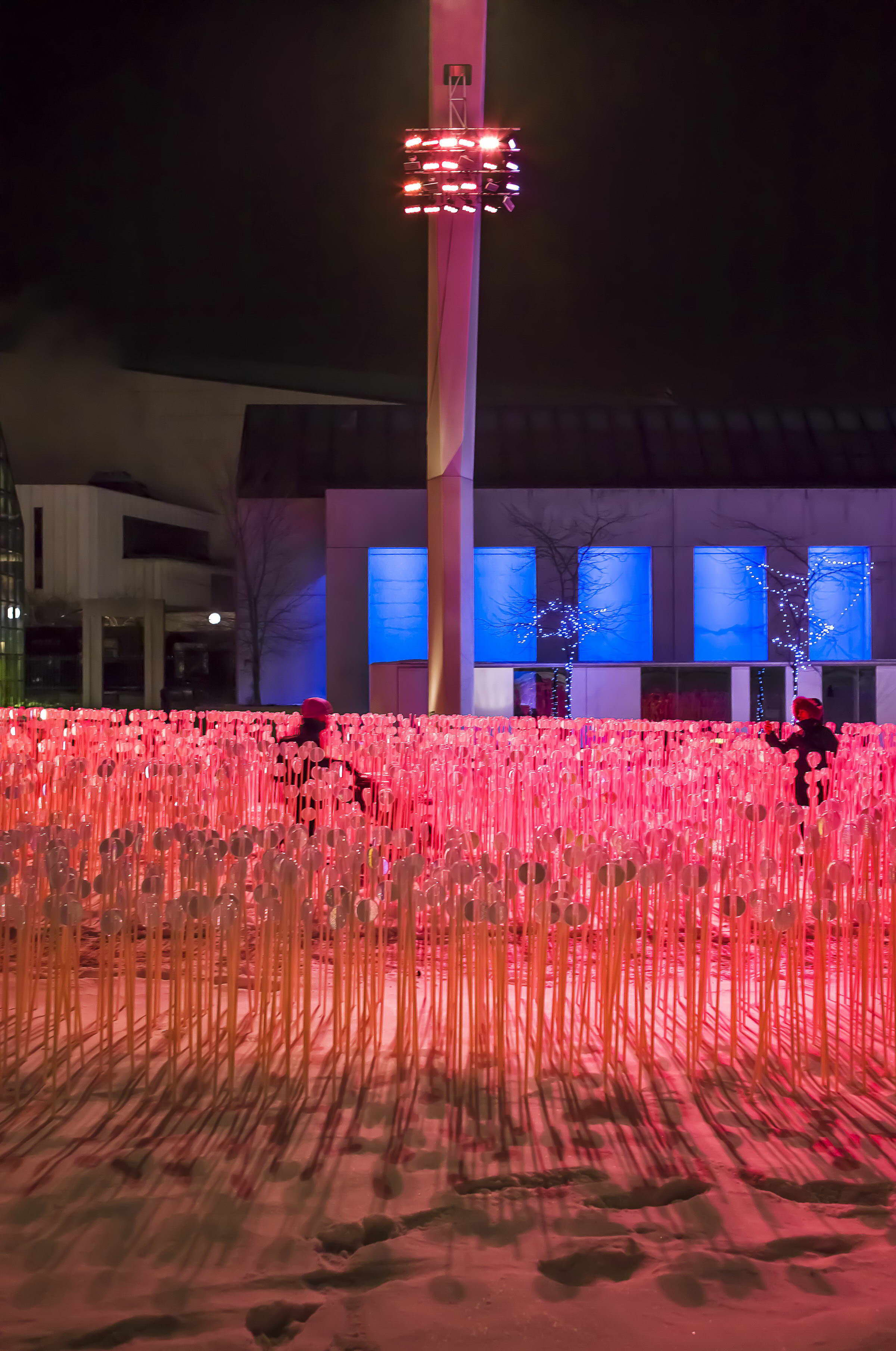 冬季麦田幻境 | Entre les Rangs 公共艺术装置-20