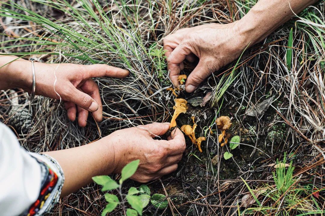 六家丽世酒店串联起一条茶马古道,滇藏线又添美好酒店体验-82