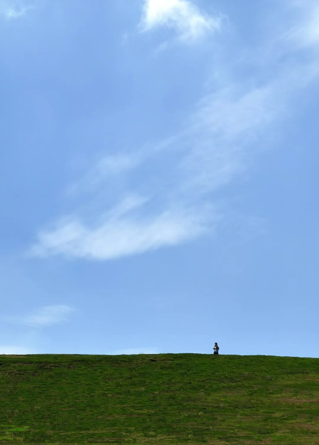 成都云顶牧场丨中国成都丨易兰规划设计院-19