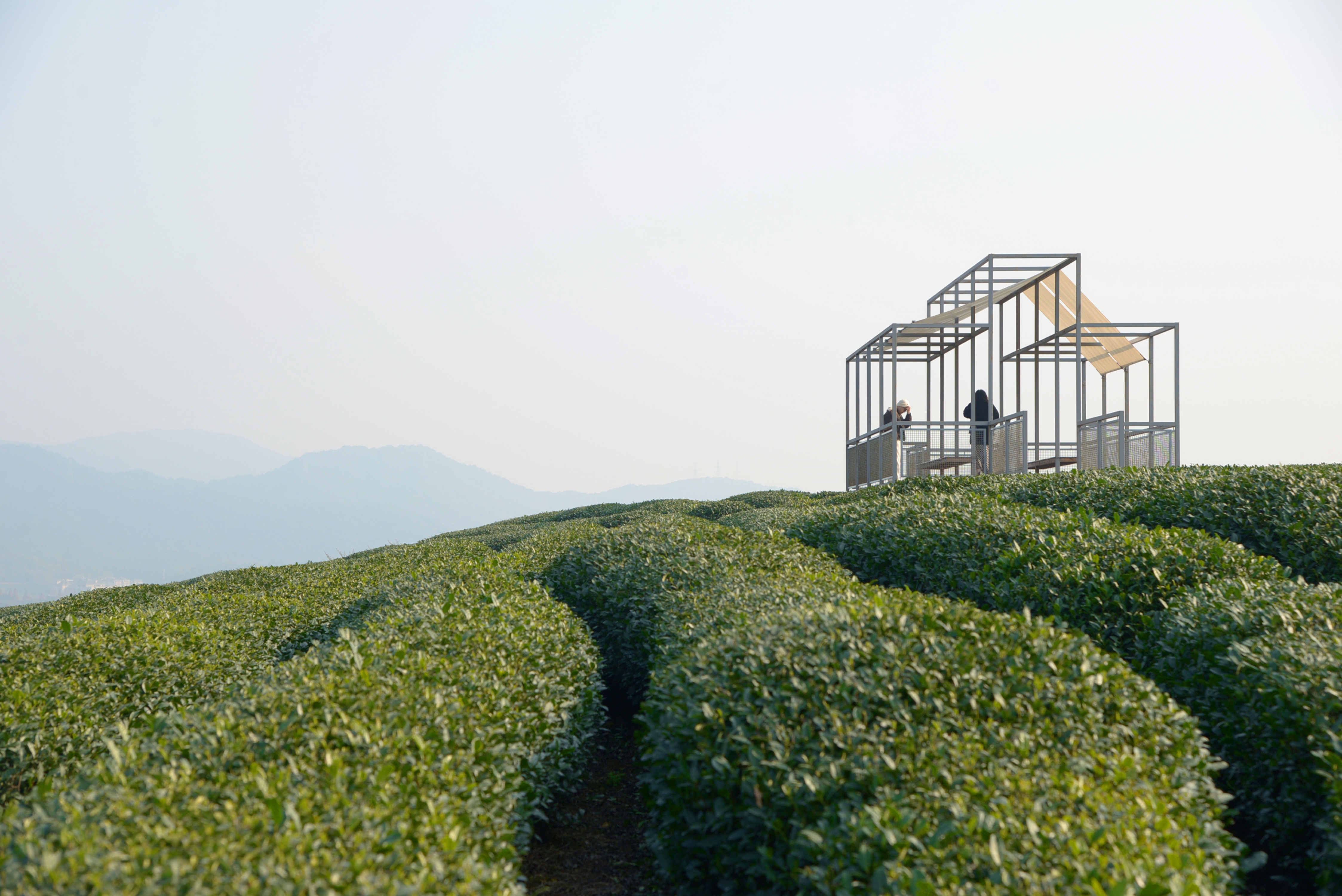 长埭村艺术乡建系列茶山浮亭丨中国杭州丨由牧建筑-29