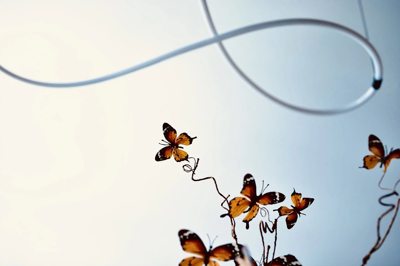 深圳高颜值美宅丨中国深圳丨尚层装饰(北京)有限公司深圳南山分公司-31