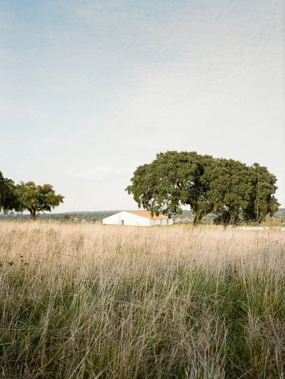 Aires Mateus 建筑事务所丨葡萄牙里斯本丨Aires Mateus Architecture-2