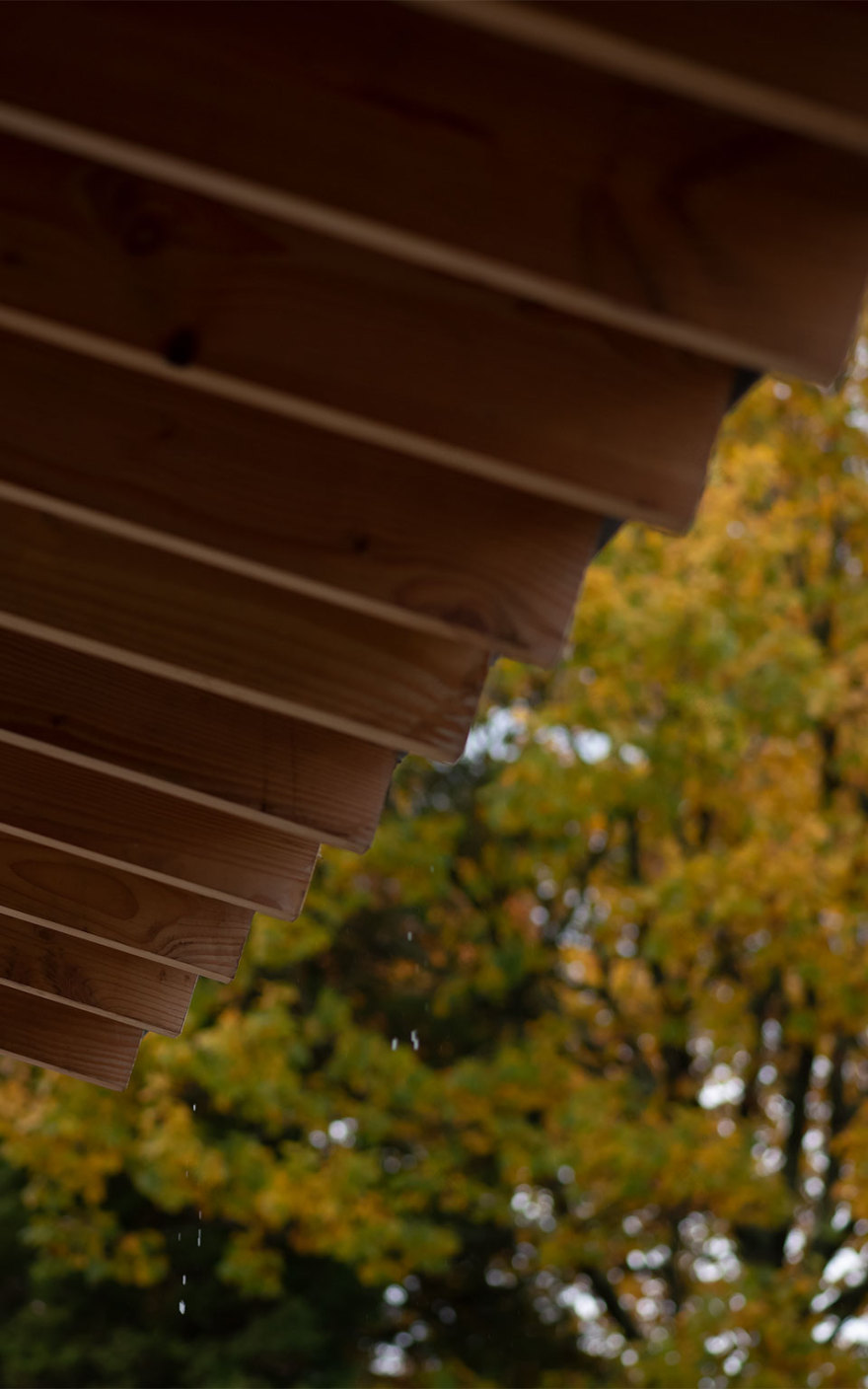 Kent Downs House | McLEAN QUINLAN-11