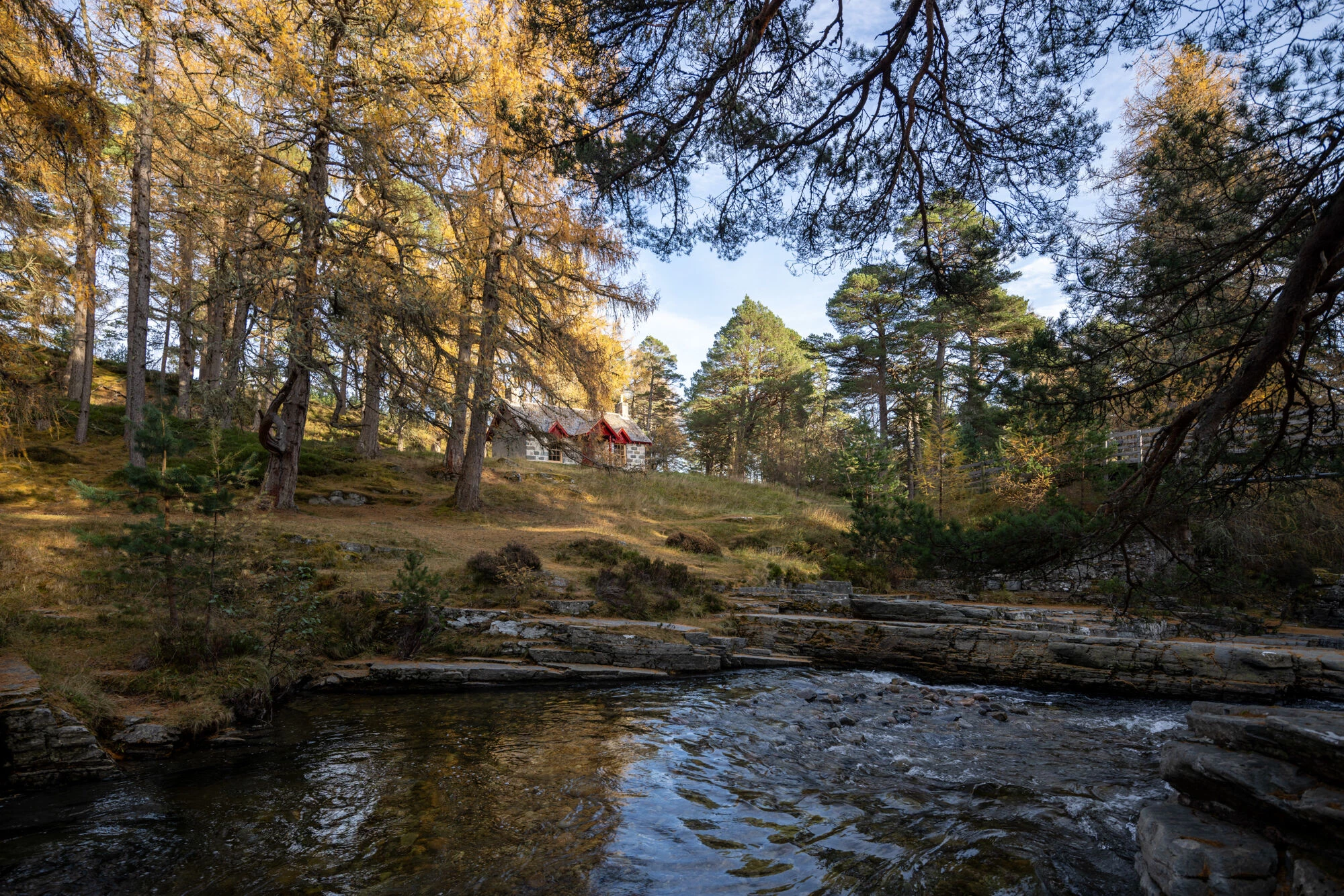 皇家野餐小屋丨Moxon Architects-7