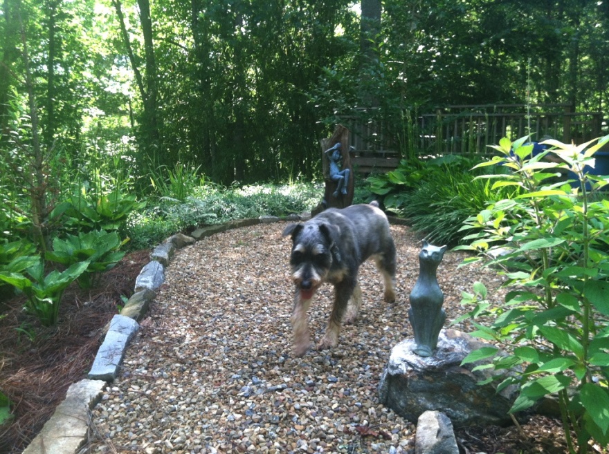 阳光花园打造项目丨Muddy Boots Inc-15