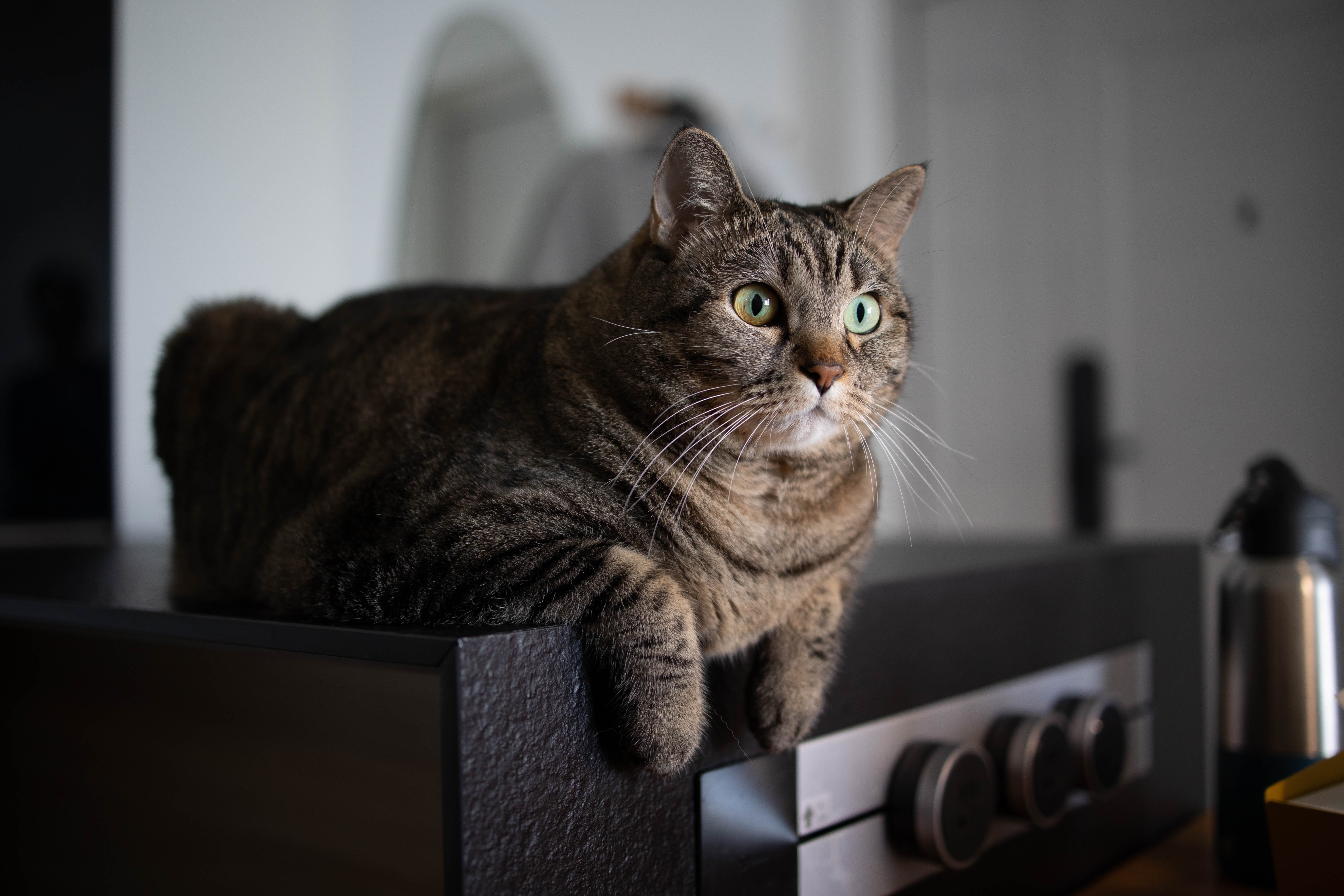 二人居设计丨中国北京丨北京三点五维度空间设计-32