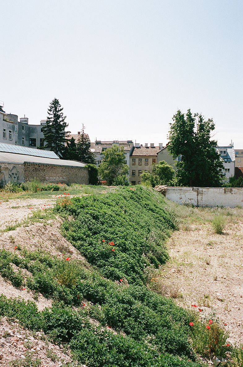 丨奥地利维也纳-22