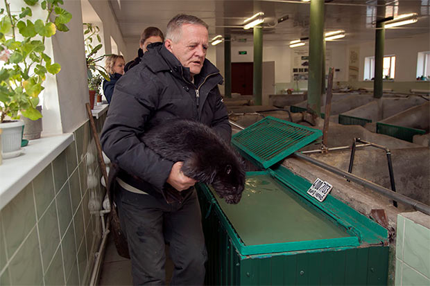 Воронеже 之「Дом бобра」建设丨Аква Лого инжиниринг-22