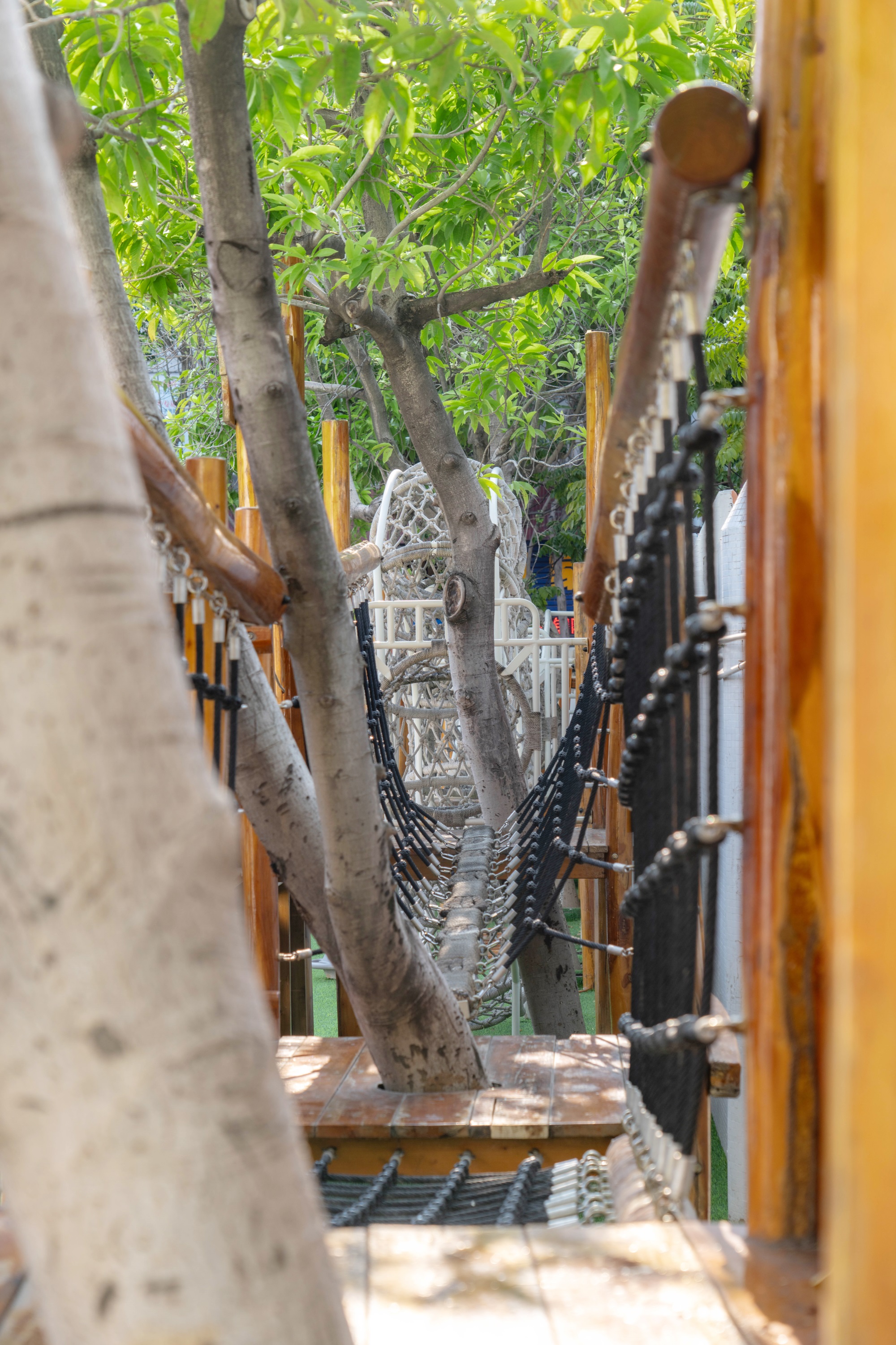 顺德区梁銶琚夫人幼儿园焕新改造丨中国佛山丨广东天元建筑设计有限公司（睿住天元）-200