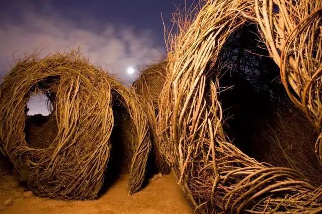 森林幻想家 | Patrick Dougherty 的树枝艺术-21