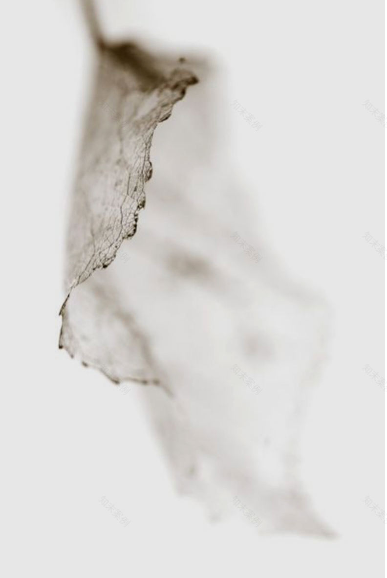 南宁金科博翠天宸售楼处 | 自然与艺术的诗意交融-9