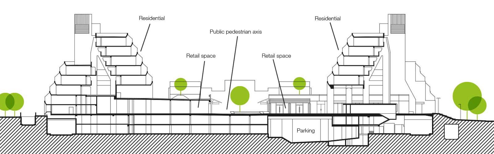丨Levitt Bernstein-44