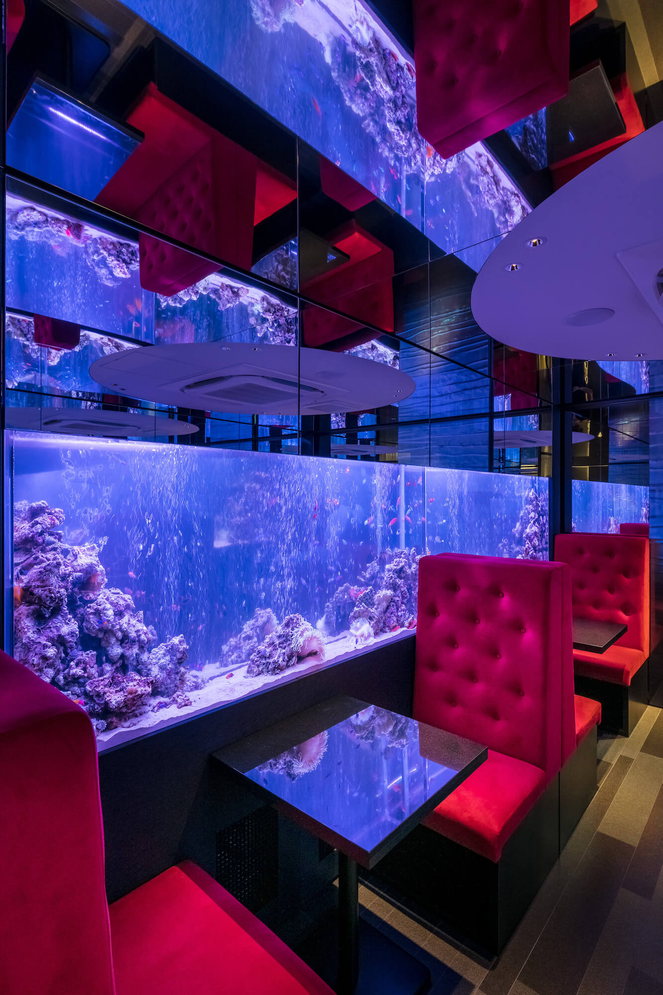 The Parallel Blue-14