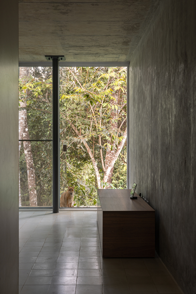 巴西森林中的玻璃混凝土别墅丨巴西巴西利亚丨Estúdio MRGB-36