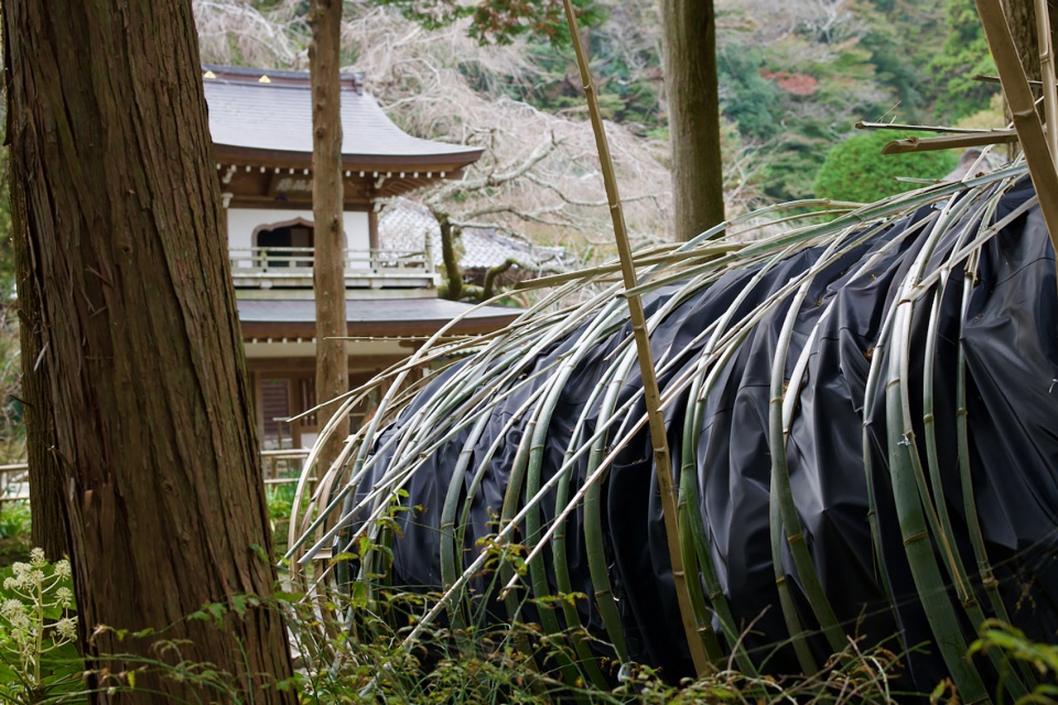 竹构移动剧场-7