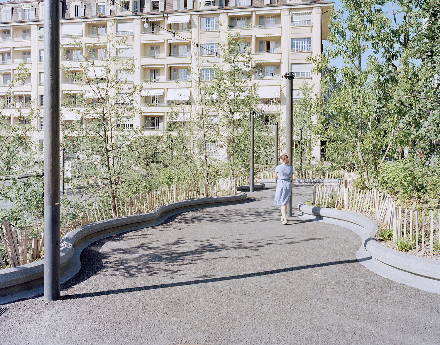 7000 Oaks 与城市生态共生的艺术设计-15