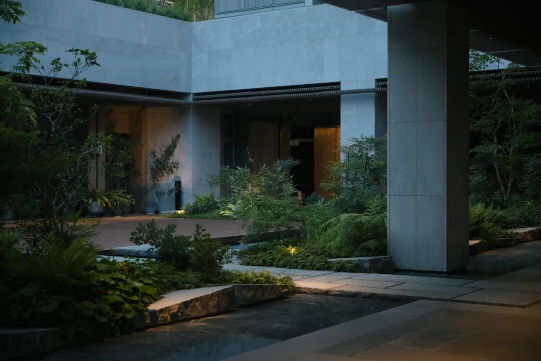 山岚褶皱处的寂静生长|阿那亚三亚景观秘境诗学-174