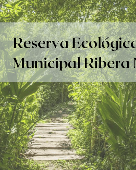Reserva Ecológica Urbana（城市生态保护区）丨Meta Paisaje教席团队（Vanesa Salas等）
