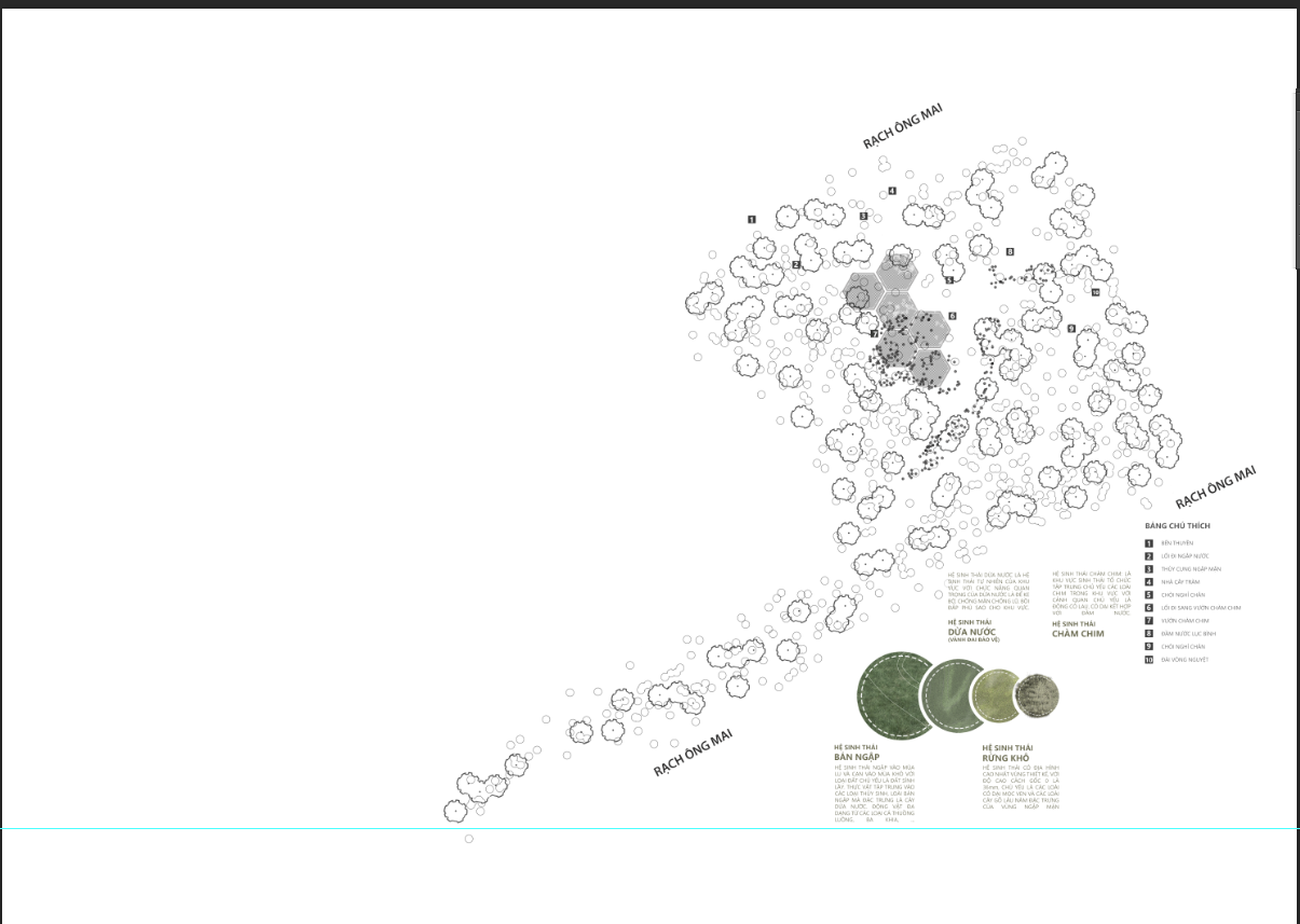 湿地公园丨越南-4