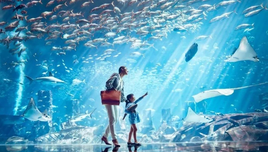 三亚•亚特兰蒂斯 | 一站式度假目的地-16