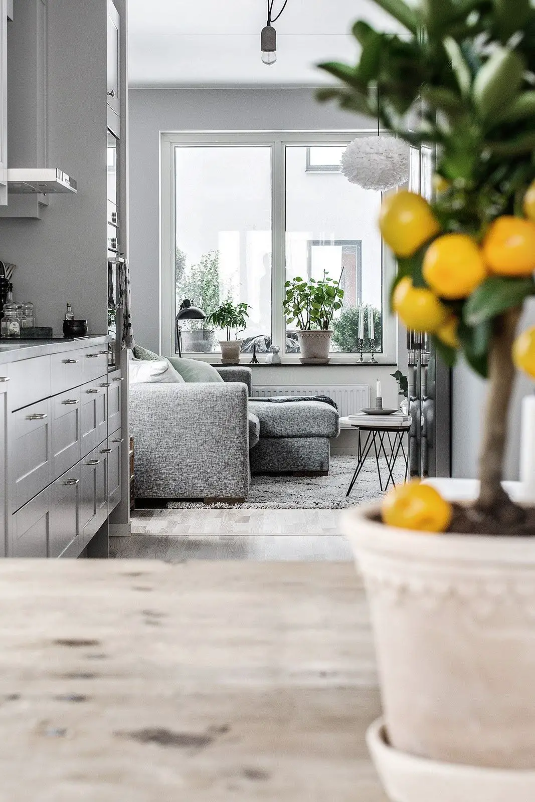 城市中的温暖寻觅-9