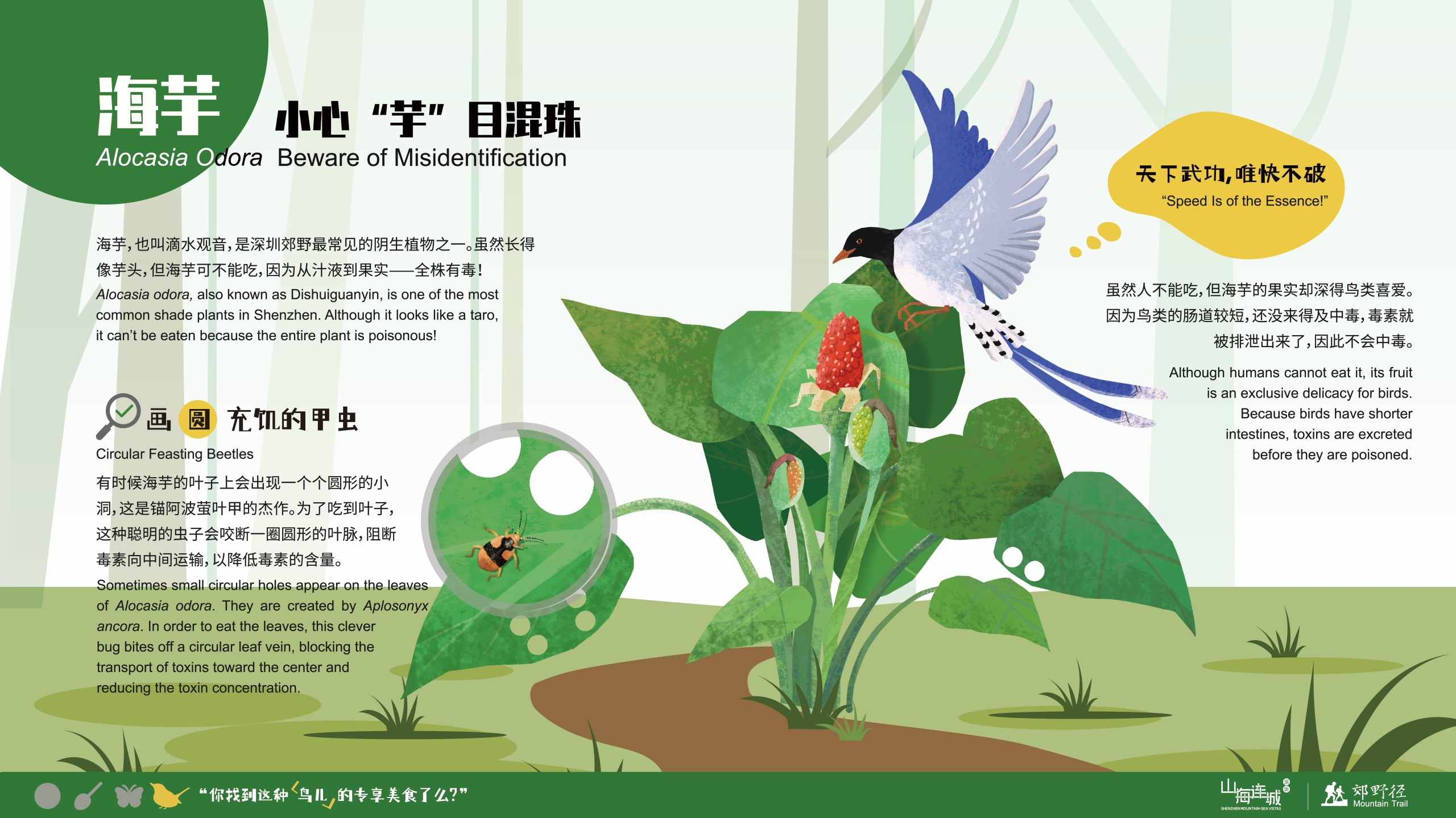 深圳市罗湖区东湖公园郊野径 – 莲塘口岸线丨中国深圳丨深圳市未名设计顾问有限公司 （WMLA）-140