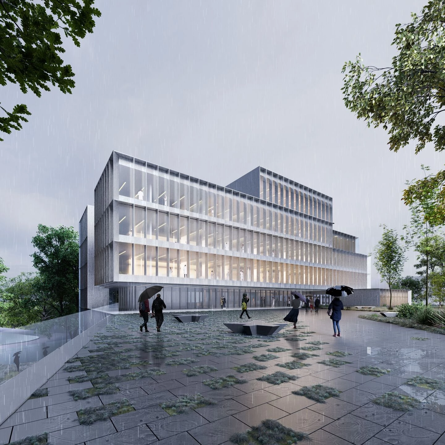 Donostia International Physics Center - DIPC-53