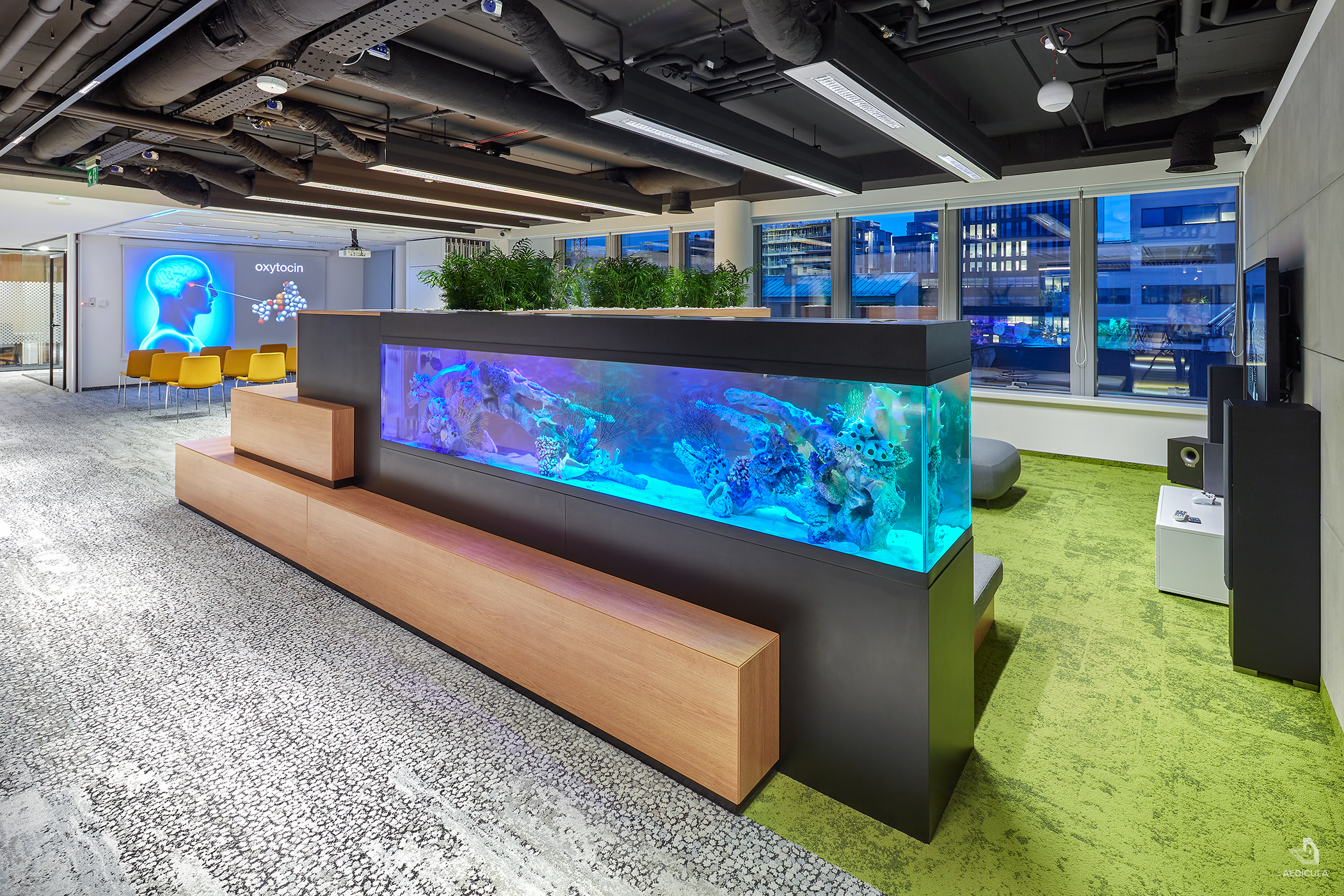 波波共享办公空间丨波兰华沙-8