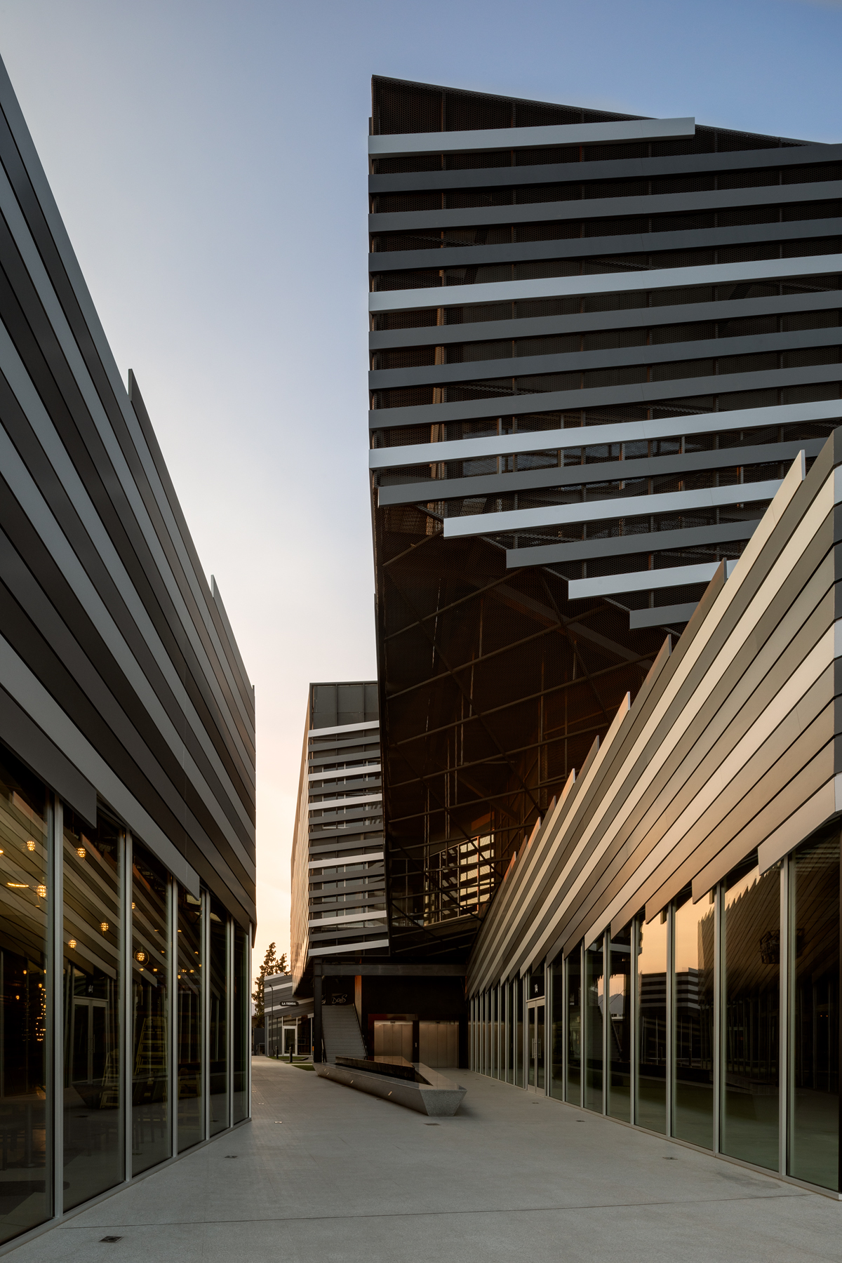 帕斯亚赫·文图斯-12