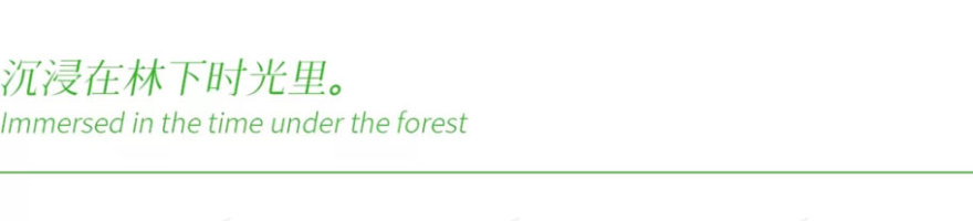南昌中海·锦城赛肯思景观设计丨中国南昌丨成都赛肯思创享生活景观设计股份有限公司-19